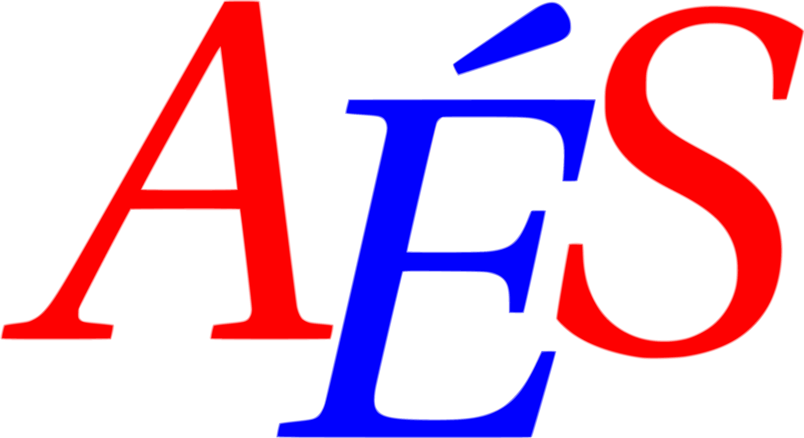 Logo de l'Association d'Economie Sociale - Sigle de l'association en couleurs
